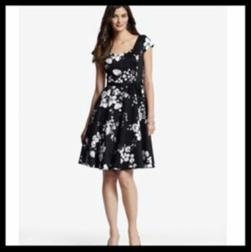 WHBM Floral Retro Dress